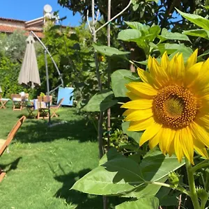 Lemon-ada Butik Kuşadası